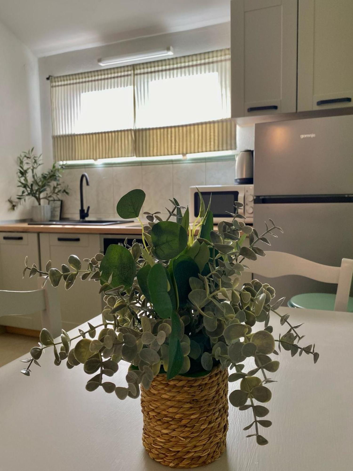 Maria Apartment *